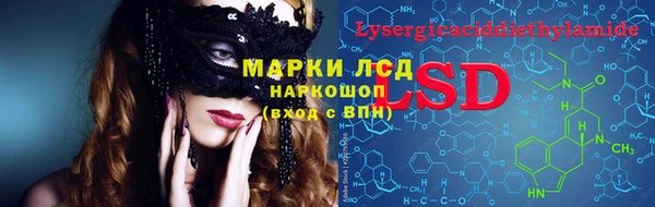 2c-b Бородино