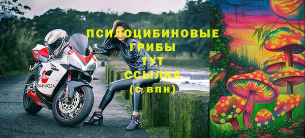 2c-b Бородино
