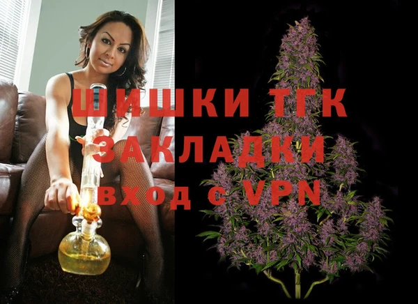2c-b Бородино
