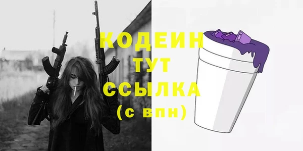 2c-b Бородино
