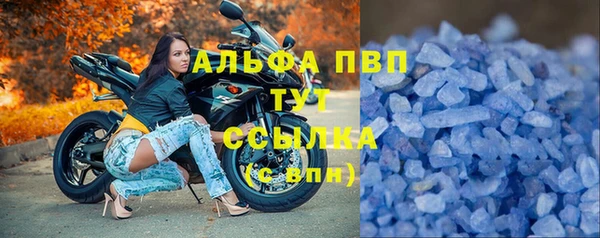 2c-b Бородино