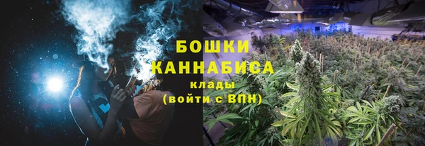2c-b Бородино