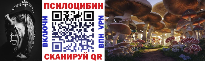 это наркотические препараты  Кизляр  Галлюциногенные грибы Cubensis  гидра ссылка 